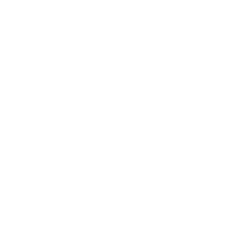 Safety Above All icon